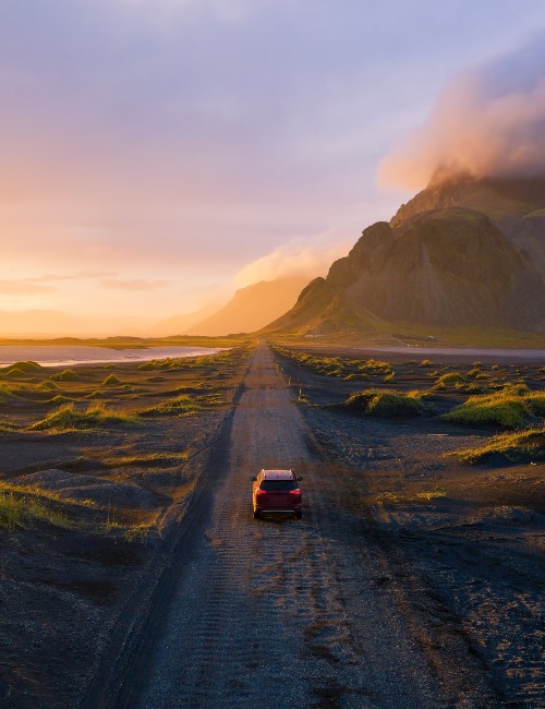 Car Rental